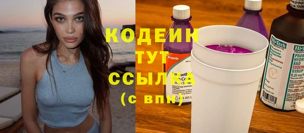 прущие грибы Каменск-Шахтинский