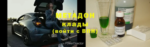 прущие грибы Каменск-Шахтинский