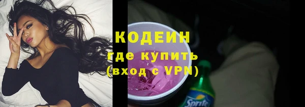 дурь Каменка