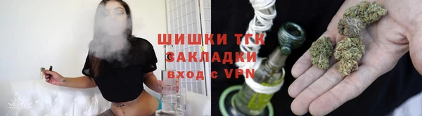 прущие грибы Каменск-Шахтинский