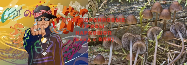 дурь Каменка