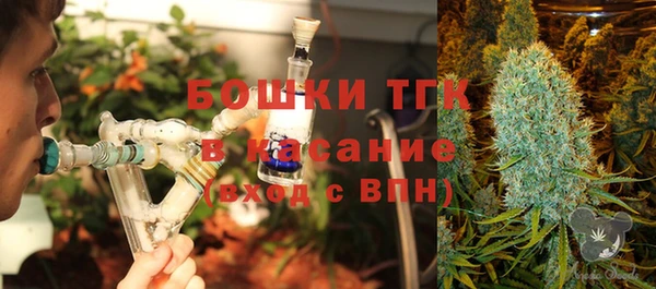 прущие грибы Каменск-Шахтинский