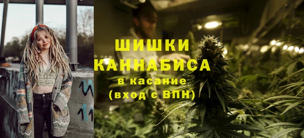 прущие грибы Каменск-Шахтинский
