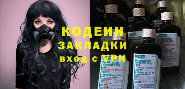 прущие грибы Каменск-Шахтинский