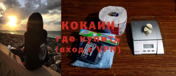 прущие грибы Каменск-Шахтинский