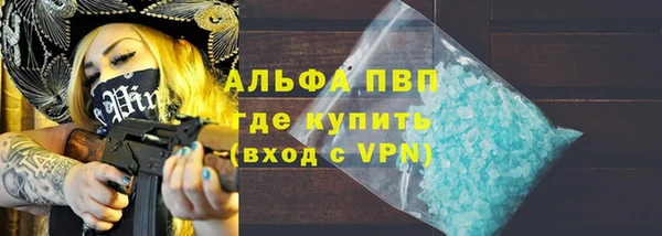 прущие грибы Каменск-Шахтинский